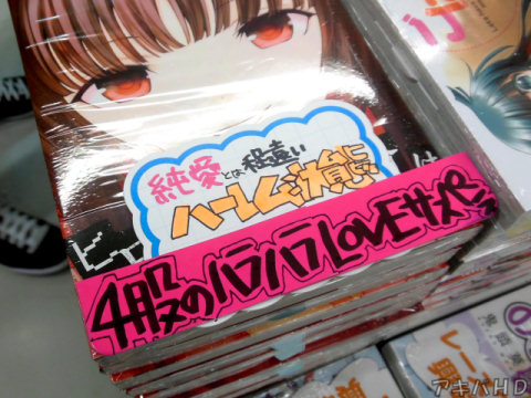 メロンブックス「純愛とは程遠いハーレム状態」「4股のハラハラLOVEサスペンス」