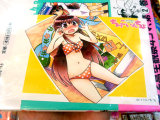COMIC ZIN特典、イラストカード