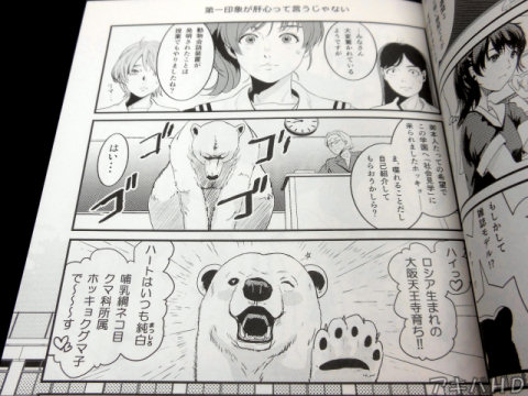 「人間の言葉が喋られるホッキョクグマがとつぜん女子高に編入！」「ホッキョクグマ子で～～～す♥」