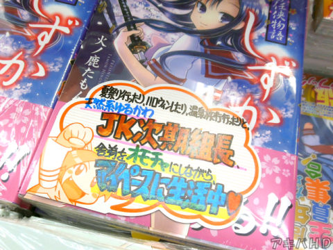 とらのあな「夏祭りに行ったり、温泉旅行行ったりと、天然系ゆるかわJK次期組長、舎弟をオモチャにしながらマイペースに生活中♥」