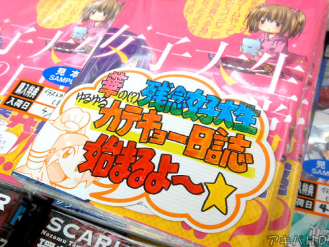 とらのあな「華の（？）残念女子大生ゆるゆるカテキョー日誌始まるよ～☆」