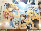 COMIC ZIN特典イラストカード、猫耳スク水とメイド水着と着ぐるみ