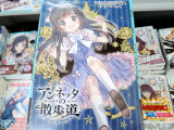 とらのあな特典、リーフレット