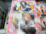 とらのあな特典、リーフレット