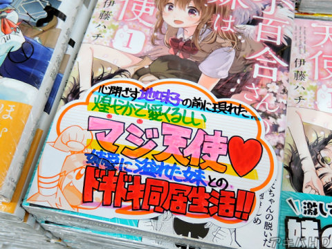 とらのあな「煌びやかで愛くるしいマジ天使♥」「姉愛に溢れた妹とのドキドキ同居生活！！」