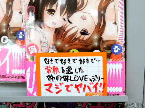 とらのあな「好きで好きで好きで…常軌を逸した姉の妹LOVEっぷり…」「マジでヤバイ！！」