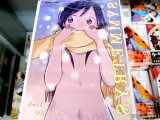 とらのあな特典、リーフレット