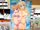 とらのあなの原作文庫の最新刊9巻と同時購入の特典、クリアファイル