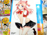 COMIC ZIN特典、イラストカード